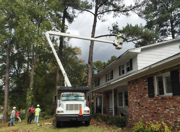Landscape Design and Installation in White Meadow Lake, NJ